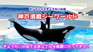 《更新》きょうだいの会🐬