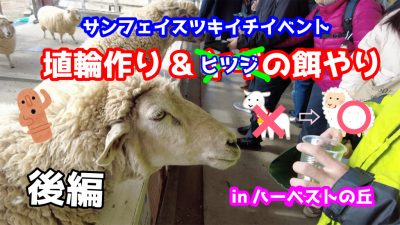 ヤギに餌やりと聞いてたけど、実際は羊だった。