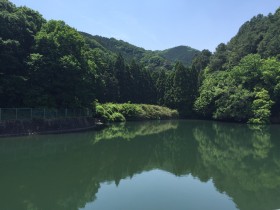 MSISKしぜんひろばin二上山 version5